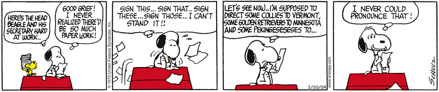 pe20040220.gif pe20040220.gif