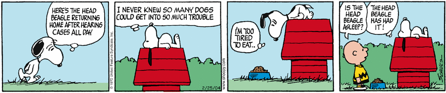 pe20040225.gif pe20040225.gif