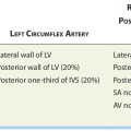 coronary_artery_distribution.png