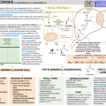 onepager_lactic_acidosis.png